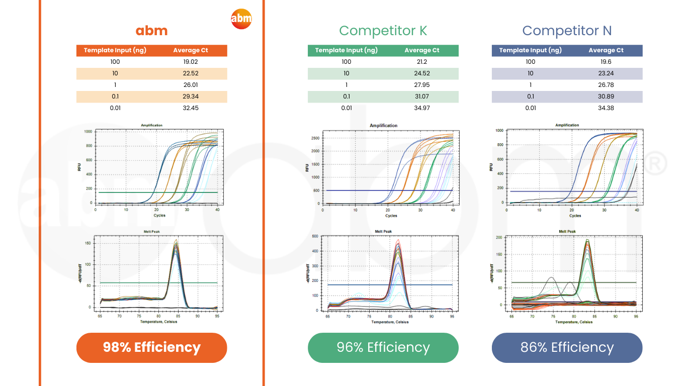 Amplification efficiency and specificity comparison preview