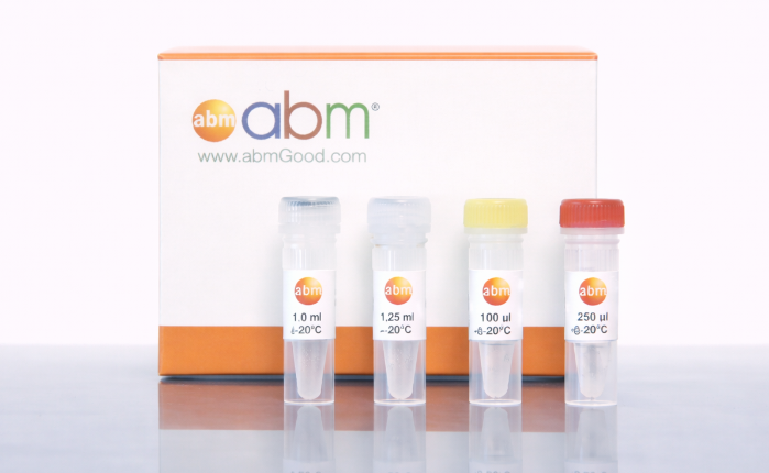Mycoplasma Pro PCR Detection Kit gel
